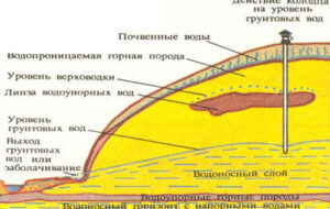 Система водоотведения: варианты установок