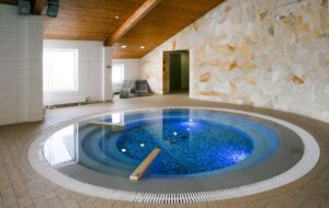 Основные преимущества SPA-бассейна для обустройства частного дома